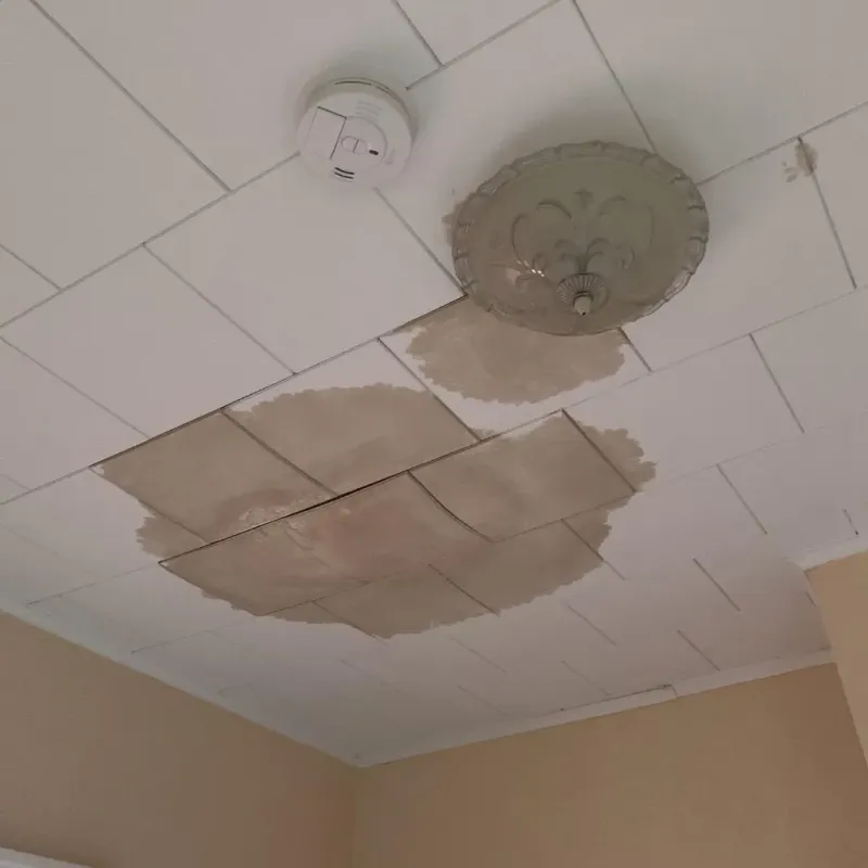Ceiling Water Damage Repair in Garretson, SD