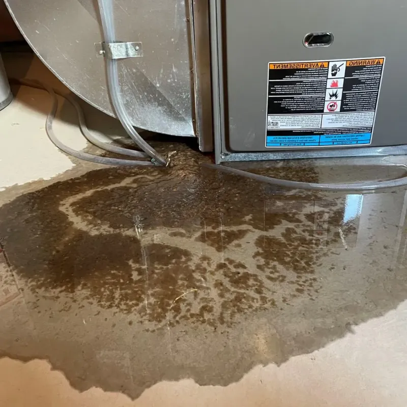 Pipe Burst and Leak Restoration in Garretson, SD
